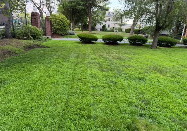 a view of a house with a backyard