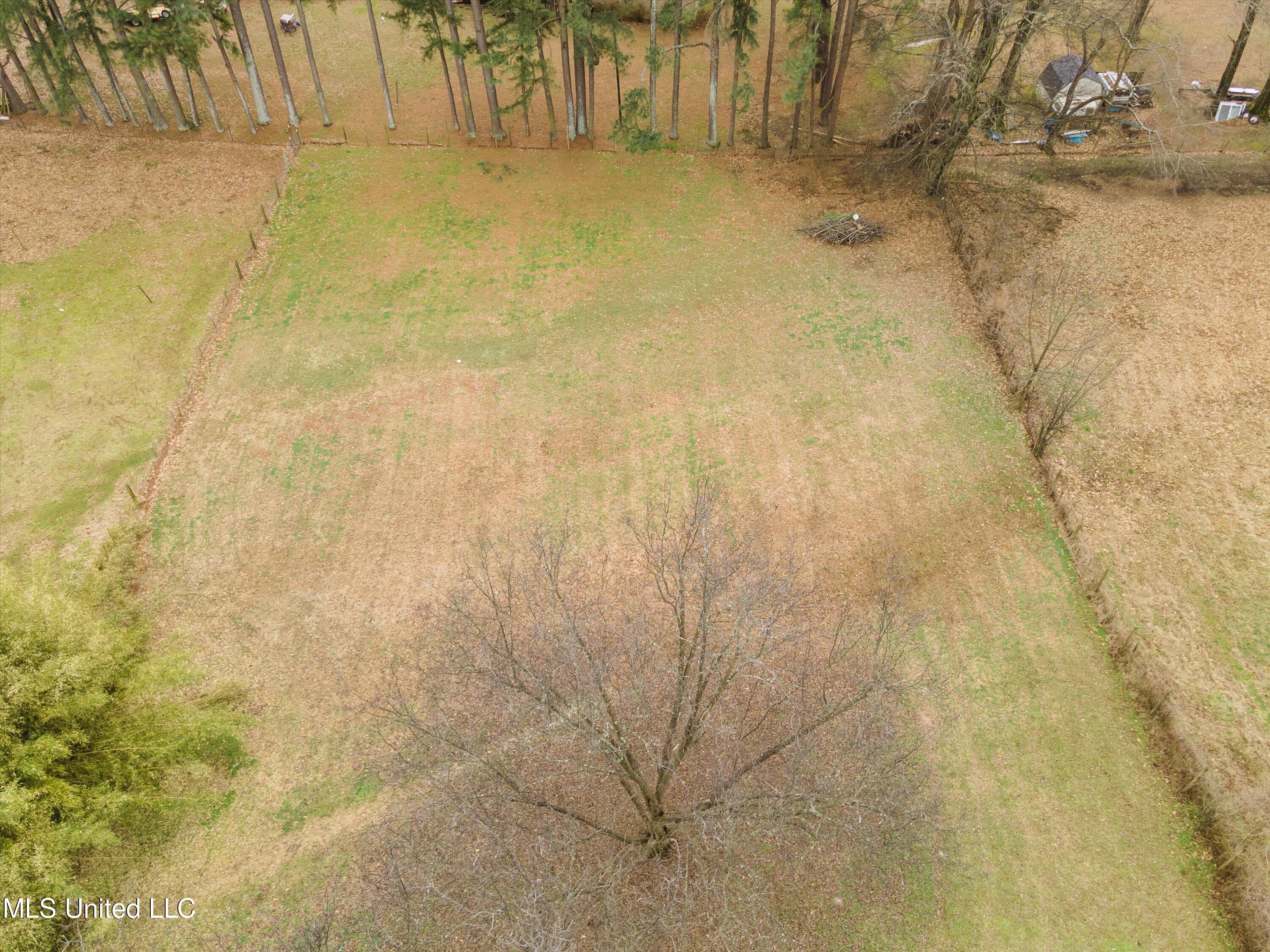 3645 Nail Road Horn Lake, MS 38637 - Photo 35 of 40 38-Backyard 2