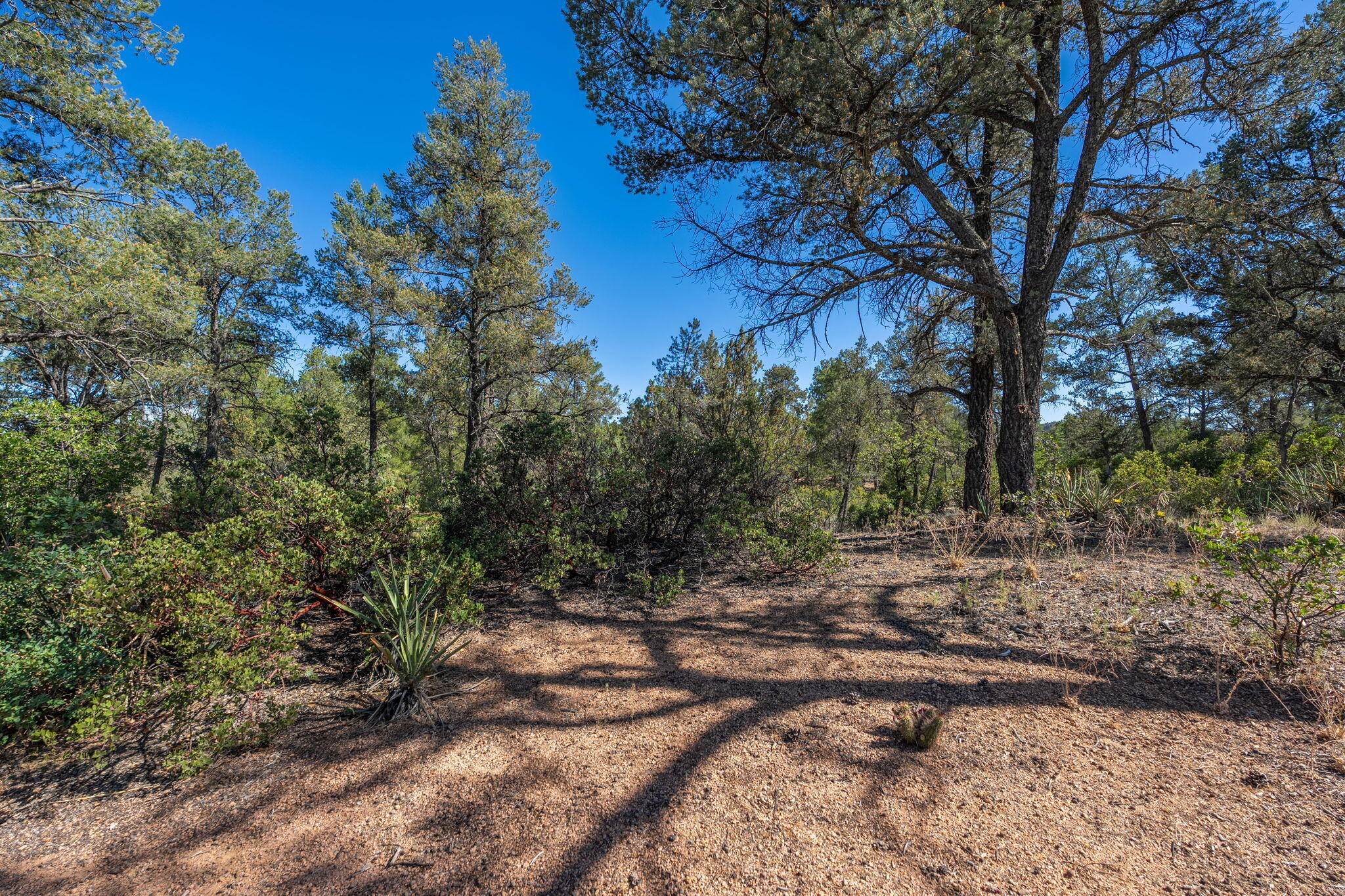 506 South Primeval Payson, AZ 85541 - Photo 36 of 48