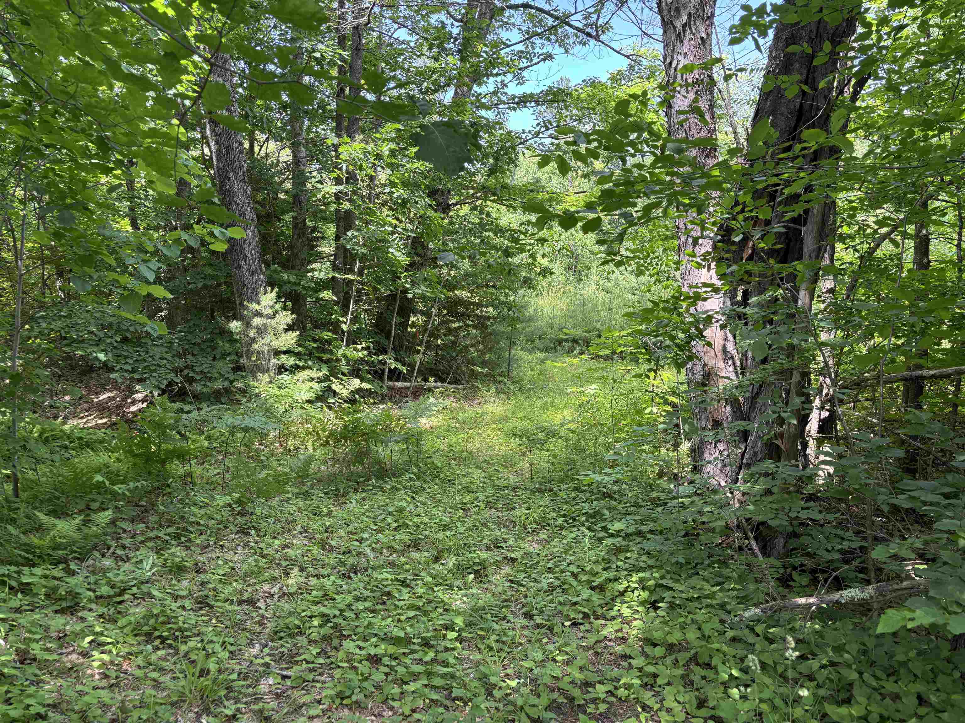 0 Simonsville Road Andover, VT 05143 - Photo 3 of 19
