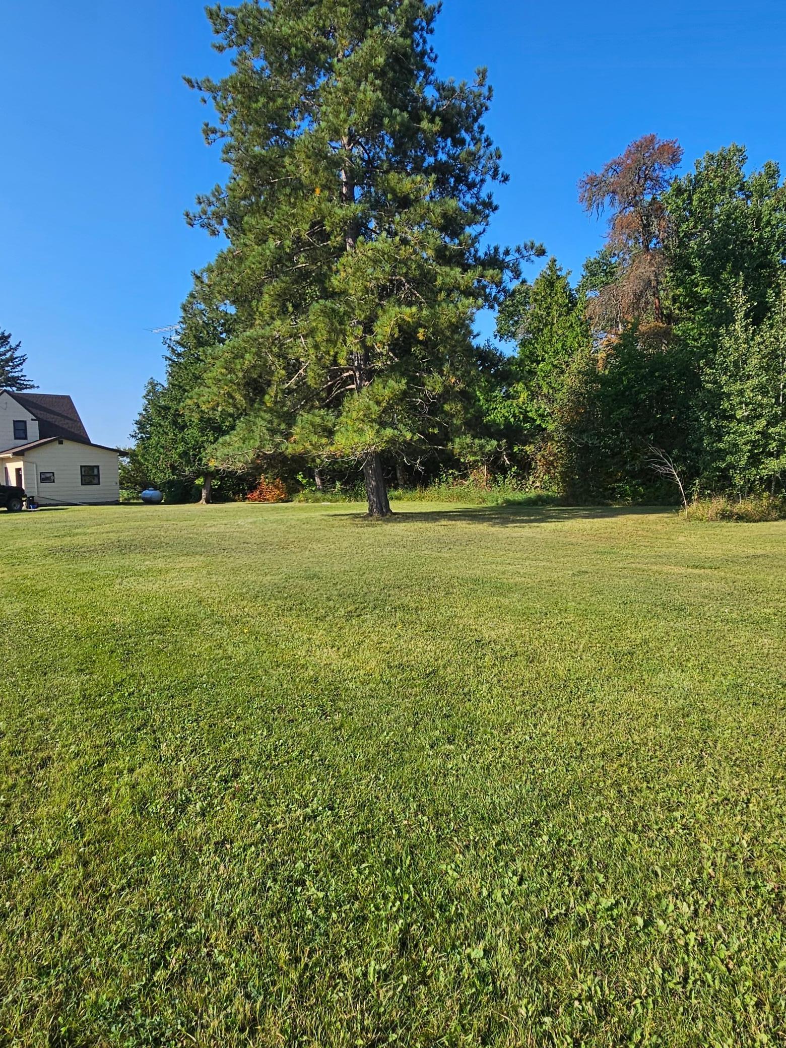 6402 Krull Street Williams, MN 56686 - Photo 11 of 23