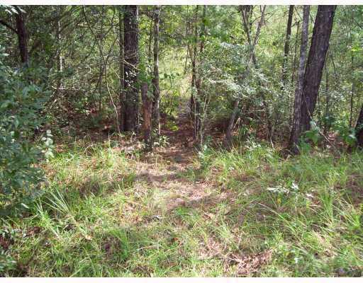 2071 Dogwood Ridge Road Kiln, MS 39556 - Photo 7 of 8 Additional Photo
