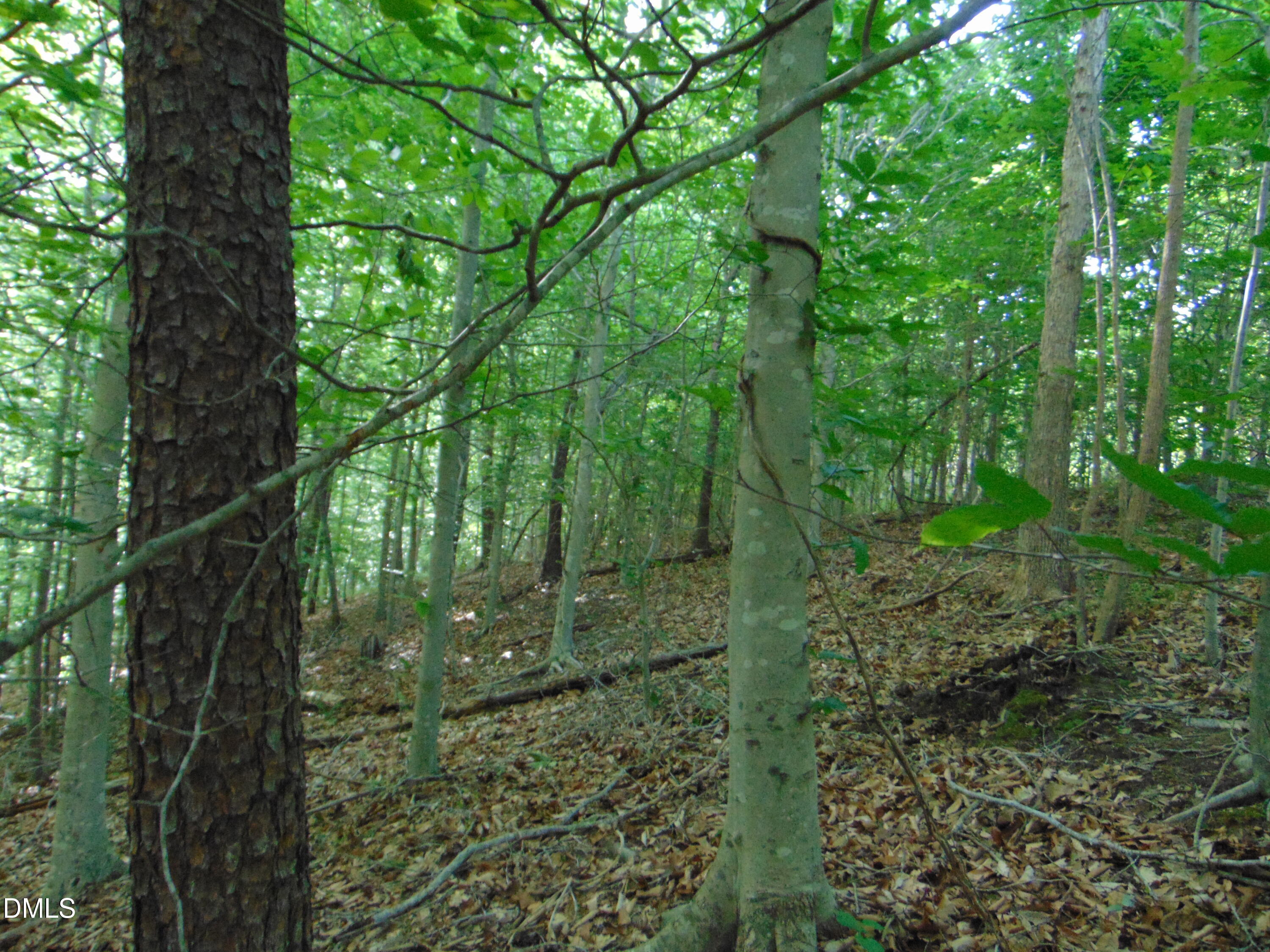 0 Walters Mill Road Providence, NC 27315 - Photo 17 of 22 DSC01574
