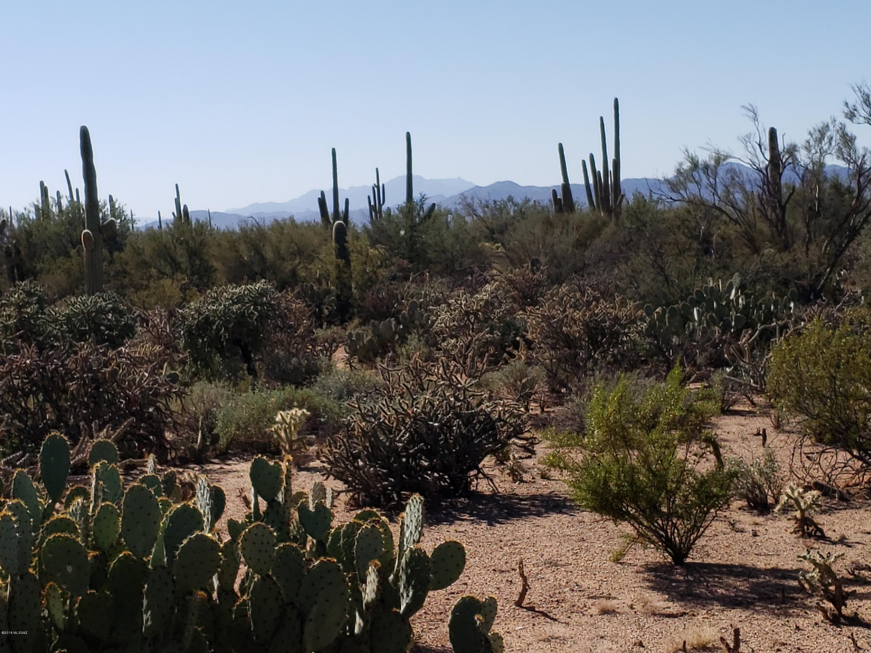 12200-blk West Fort Lowell Road Tucson, AZ 85743 - Photo 2 of 14