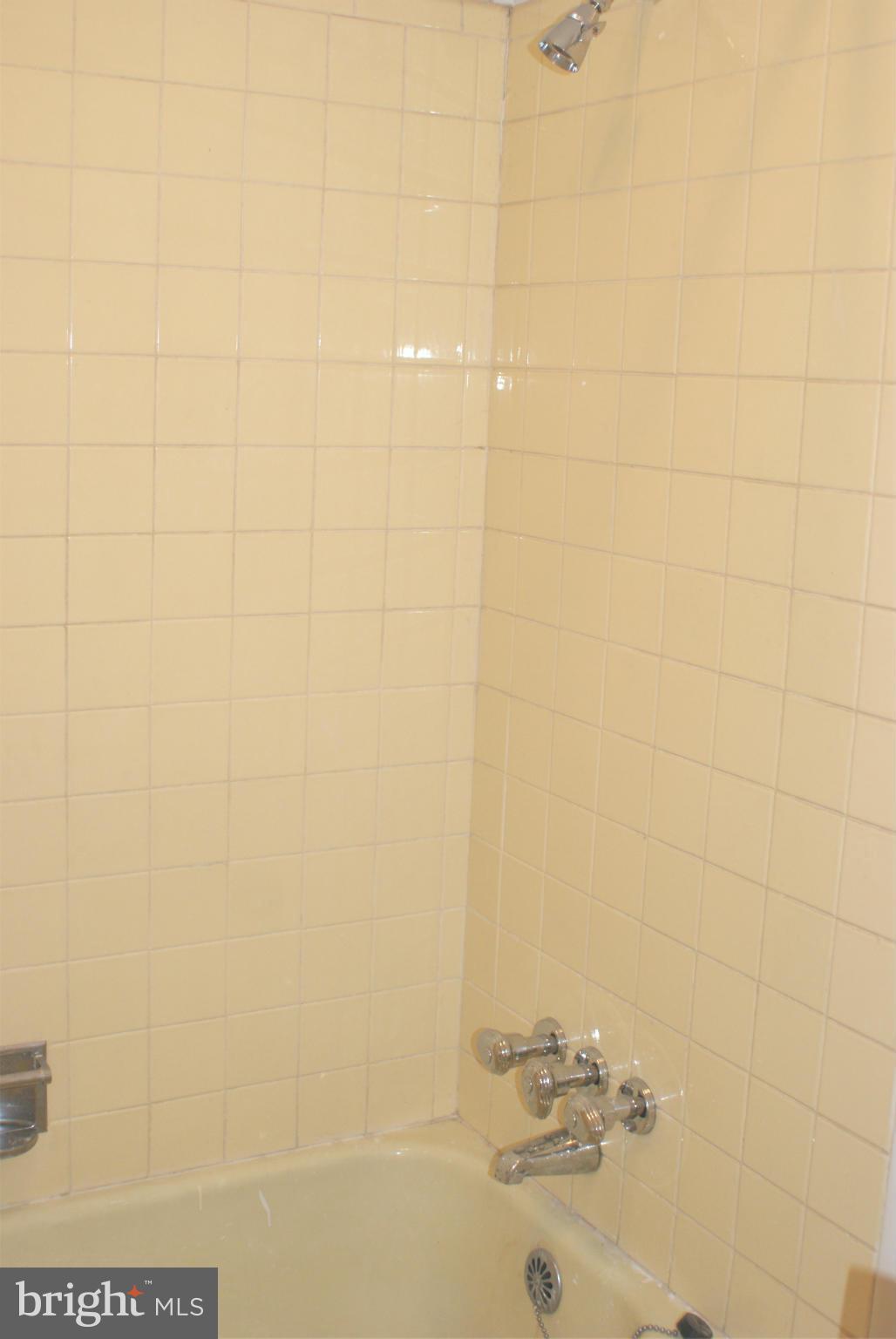 11006 Conti Place Silver Spring, MD 20902 - Photo 20 of 29 Bath