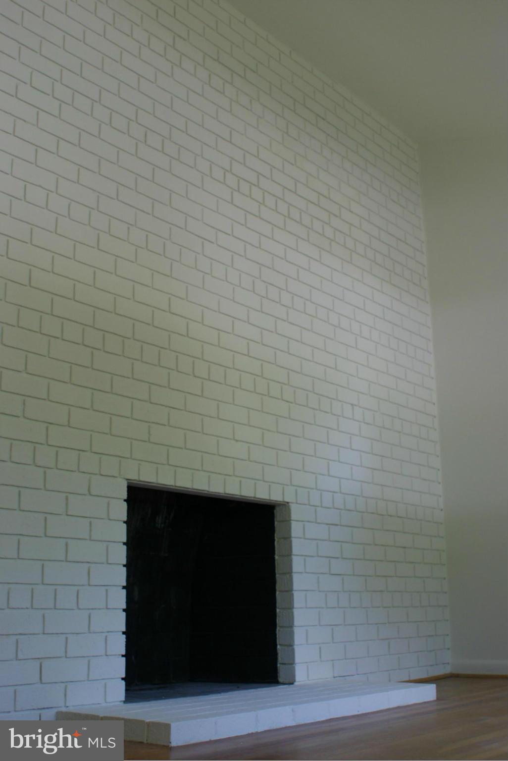 11006 Conti Place Silver Spring, MD 20902 - Photo 4 of 29 Living Room Fireplace