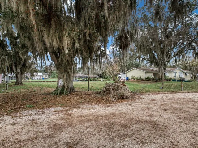 a view of a park with large trees