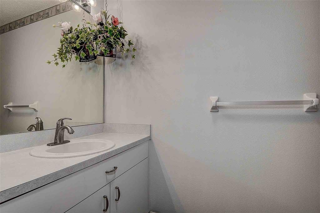 1020 Trafalgar Drive New Port Richey, FL 34655 - Photo 21 of 41 a sink with a potted plant
