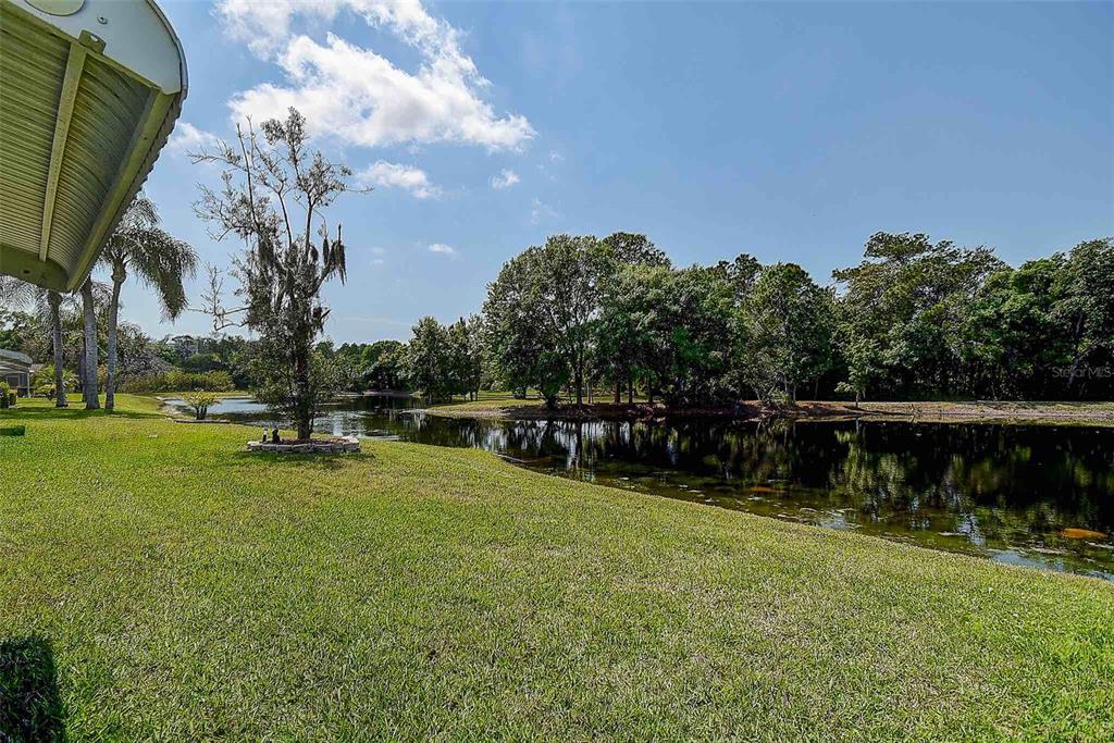 1020 Trafalgar Drive New Port Richey, FL 34655 - Photo 35 of 41 a backyard of a house with lots of green space