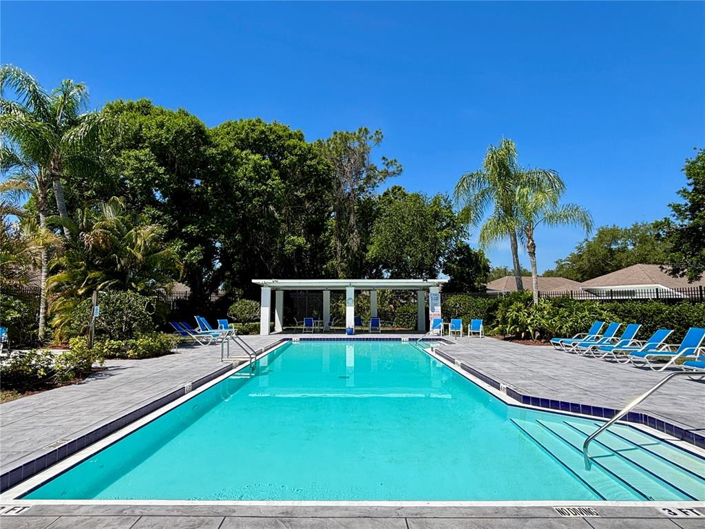 1020 Trafalgar Drive New Port Richey, FL 34655 - Photo 37 of 41 swimming pool view with a seating space