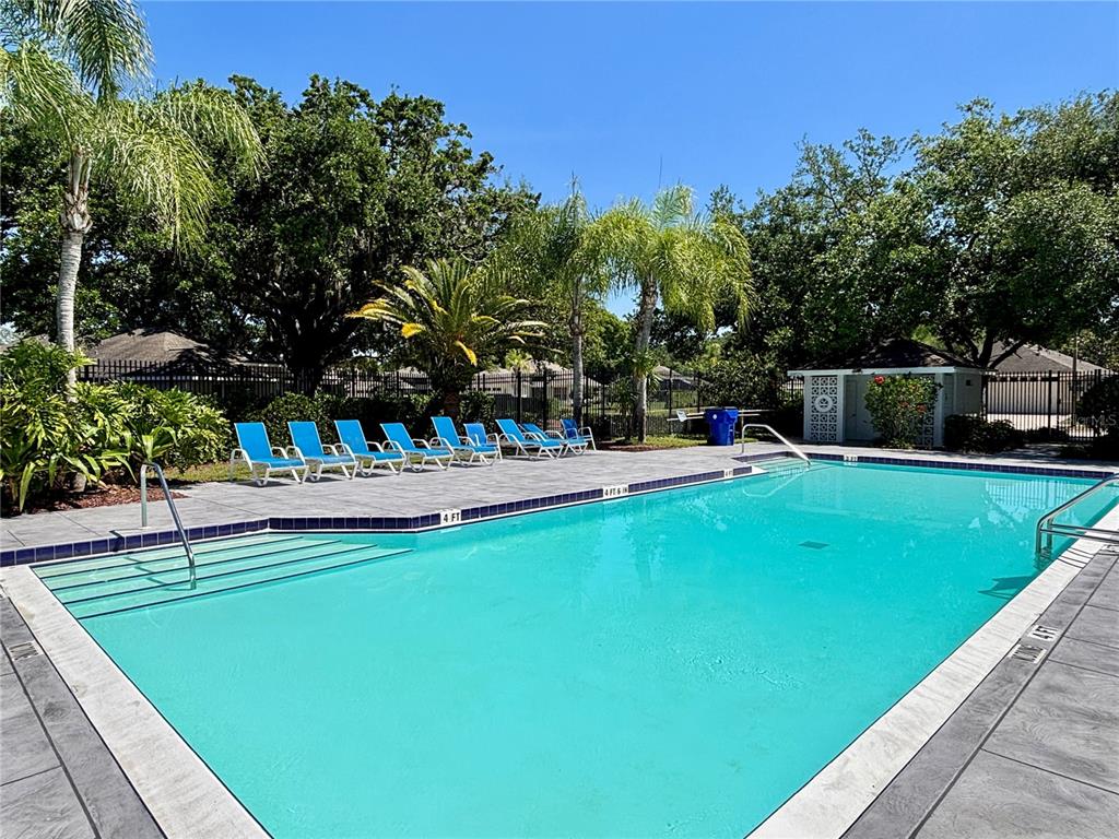 1020 Trafalgar Drive New Port Richey, FL 34655 - Photo 39 of 41 a view of swimming pool with a bench and trees