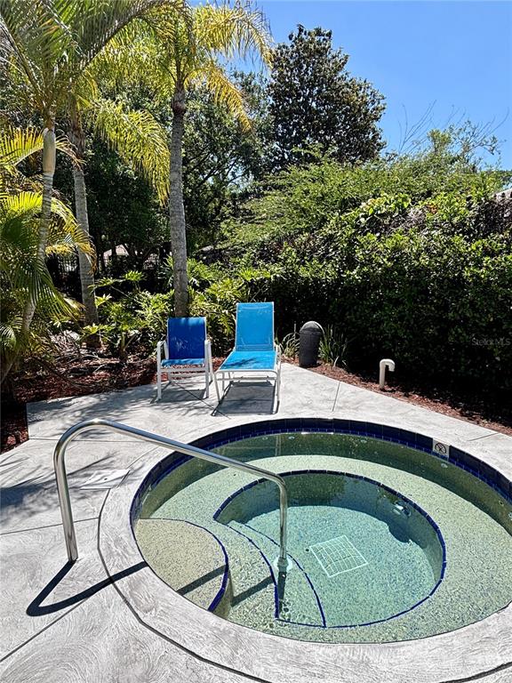 1020 Trafalgar Drive New Port Richey, FL 34655 - Photo 40 of 41 a swimming pool with outdoor seating yard and green space