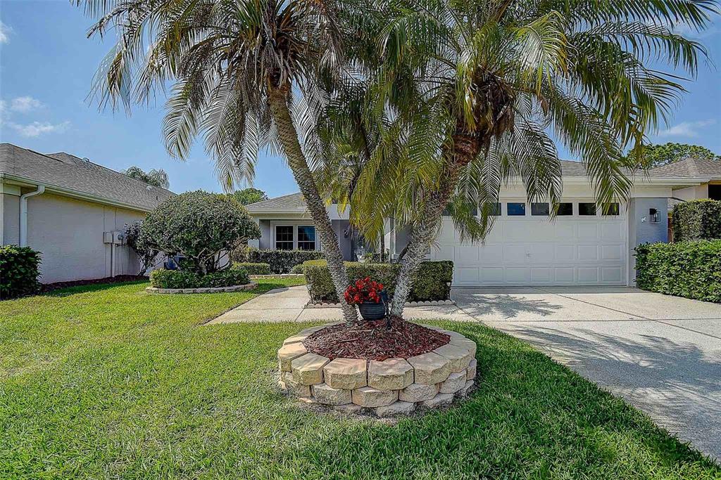 1020 Trafalgar Drive New Port Richey, FL 34655 - Photo 4 of 41 a house view with a garden space