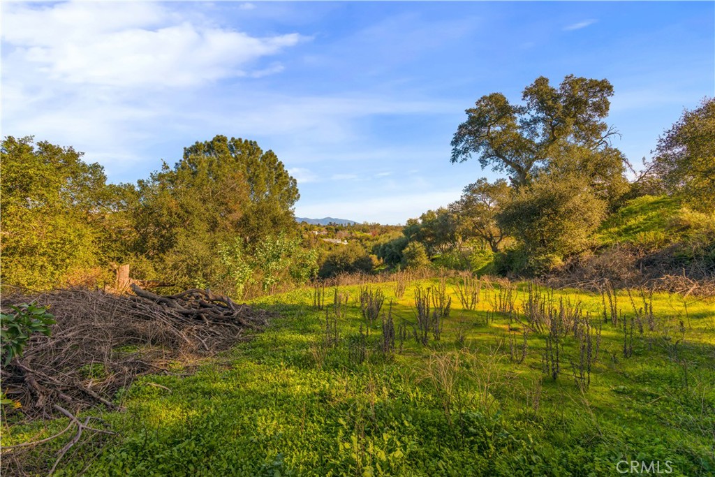 1027 Live Oak Park Road South Fallbrook, CA 92028 - Photo 35 of 36
