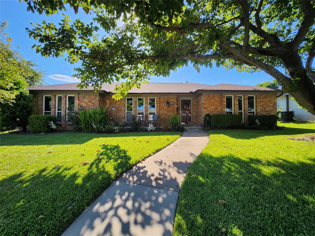 1023 Ridgefield Drive Plano, TX 75075 - Photo 1 of 40 Brick exterior, prominent mature tree, manicured lawn, established landscaping, and a concrete pathway