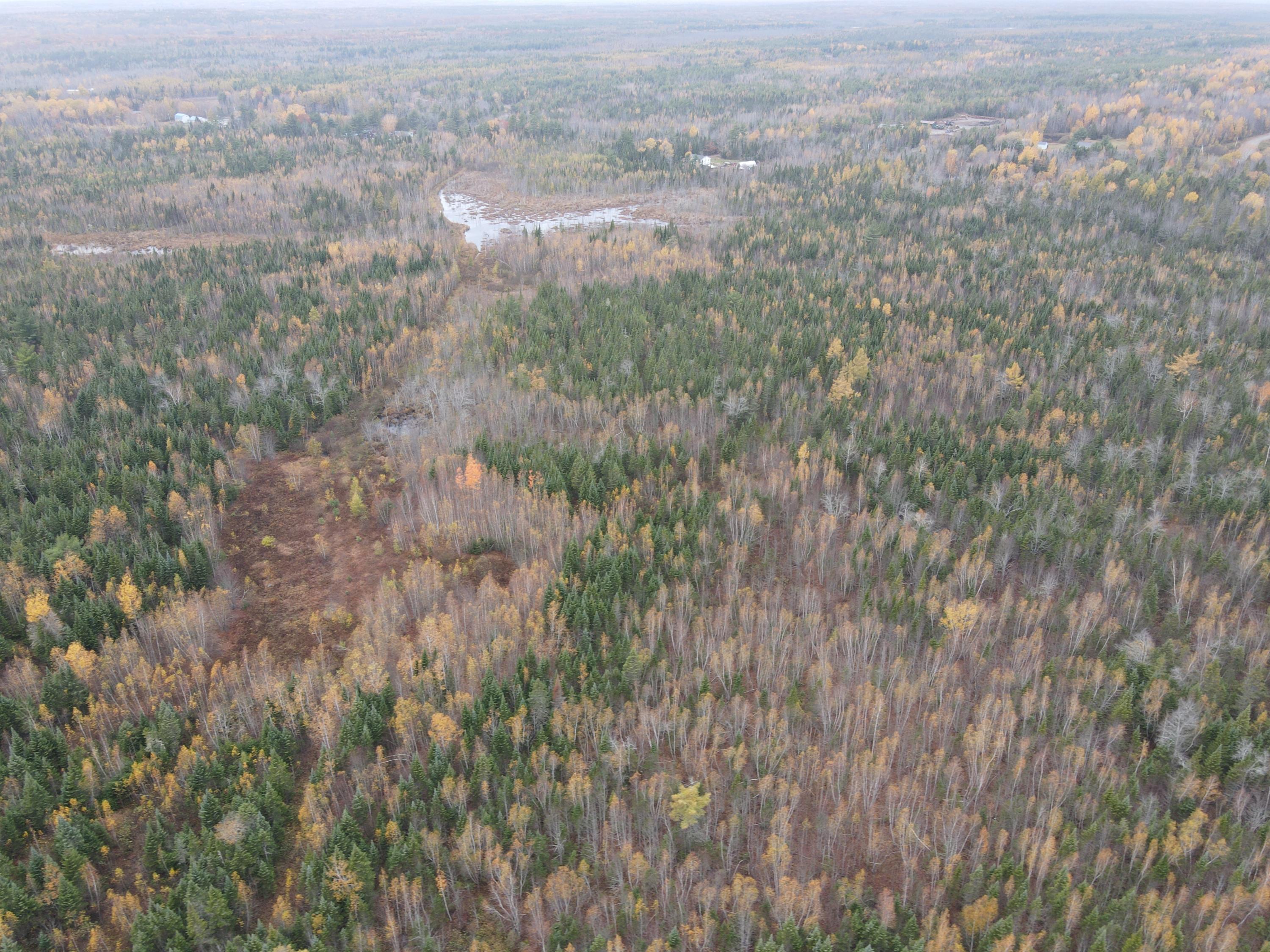 0 Greenfield Road Milford, ME 04461 - Photo 12 of 18 2020-10-20 14.37.43