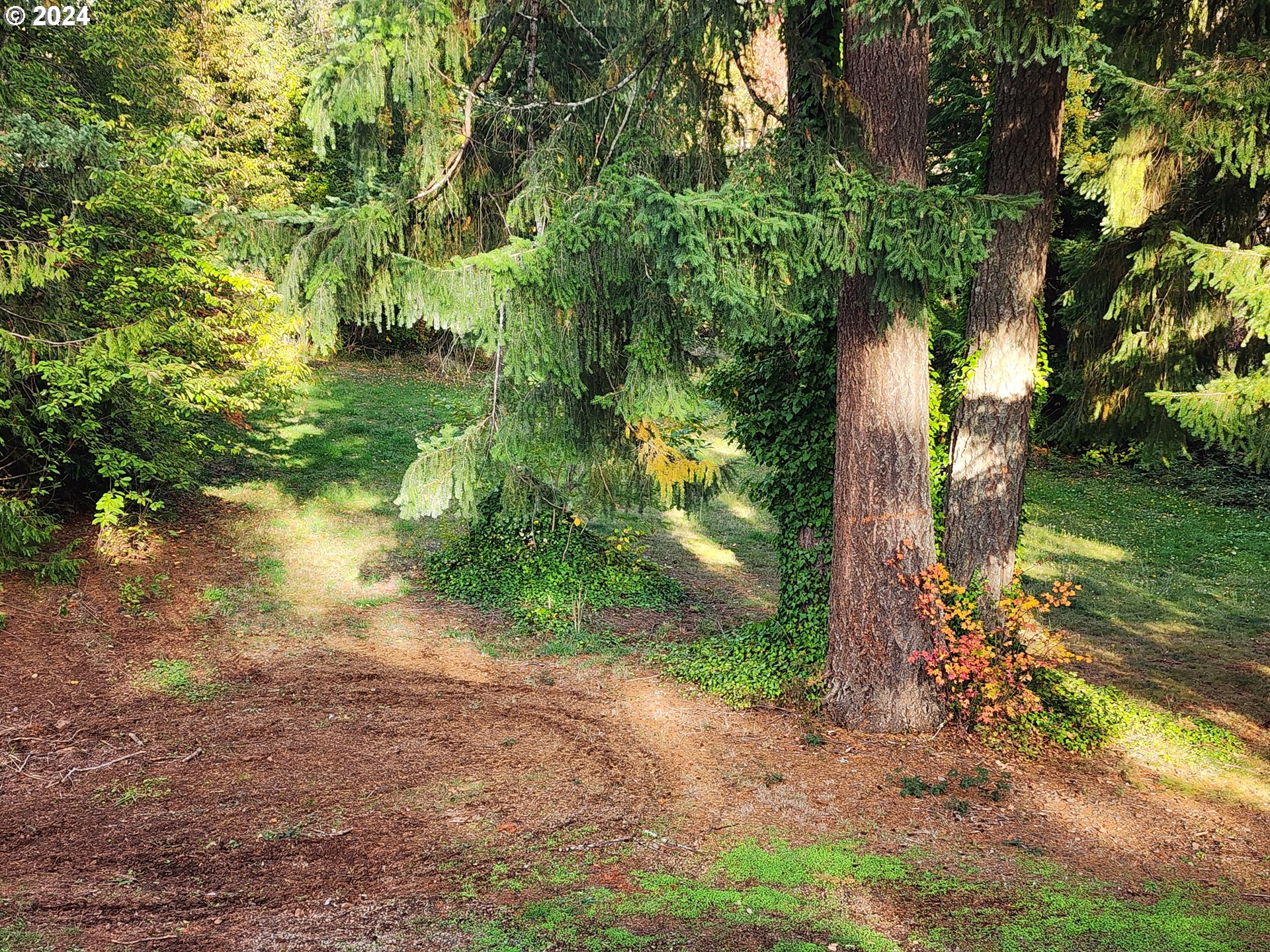24361 South Upper Highland Road Colton, OR 97017 - Photo 13 of 47 a backyard of a house with lots of green space