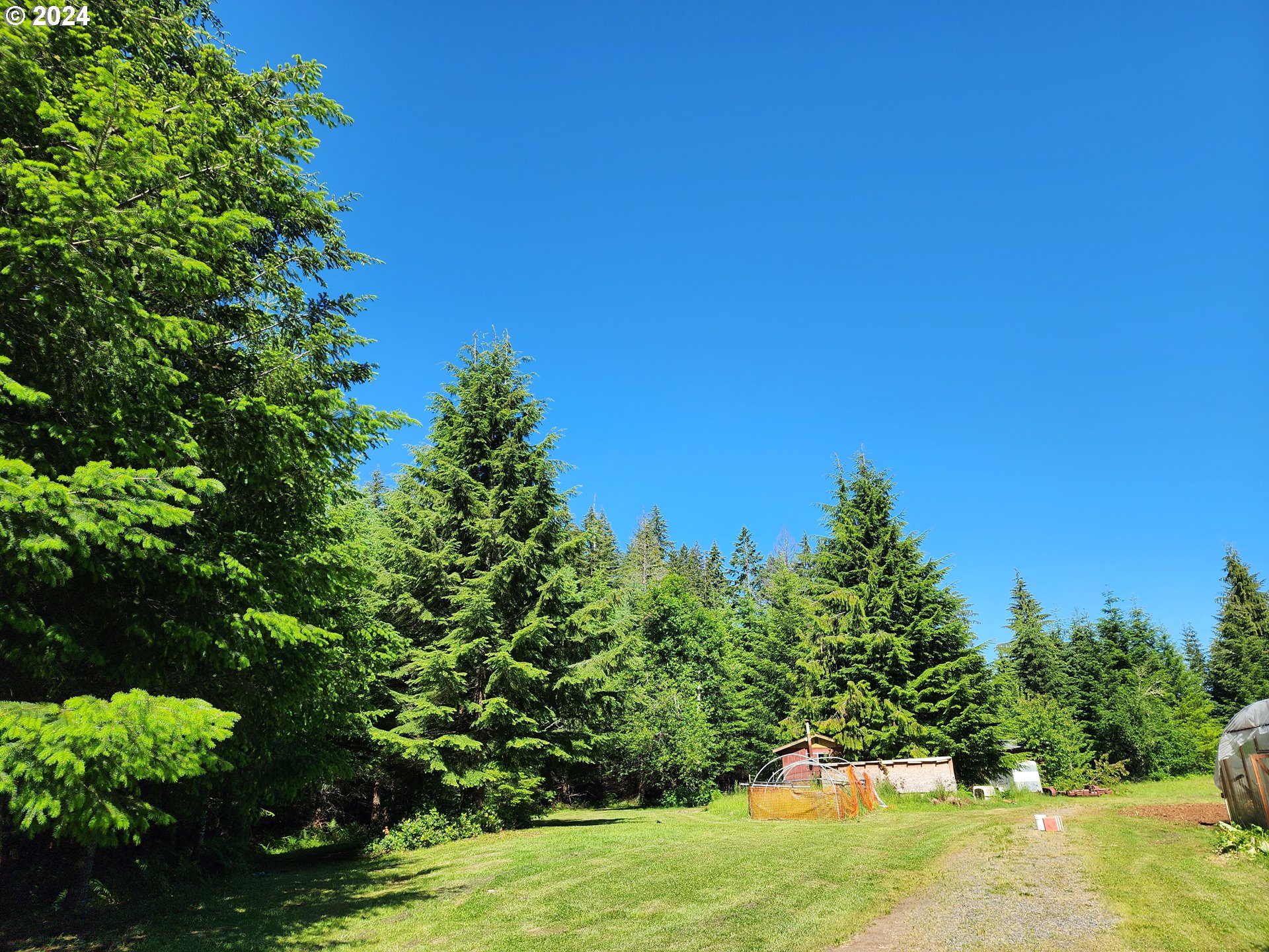 24361 South Upper Highland Road Colton, OR 97017 - Photo 21 of 47 a view of a yard with plants and large trees