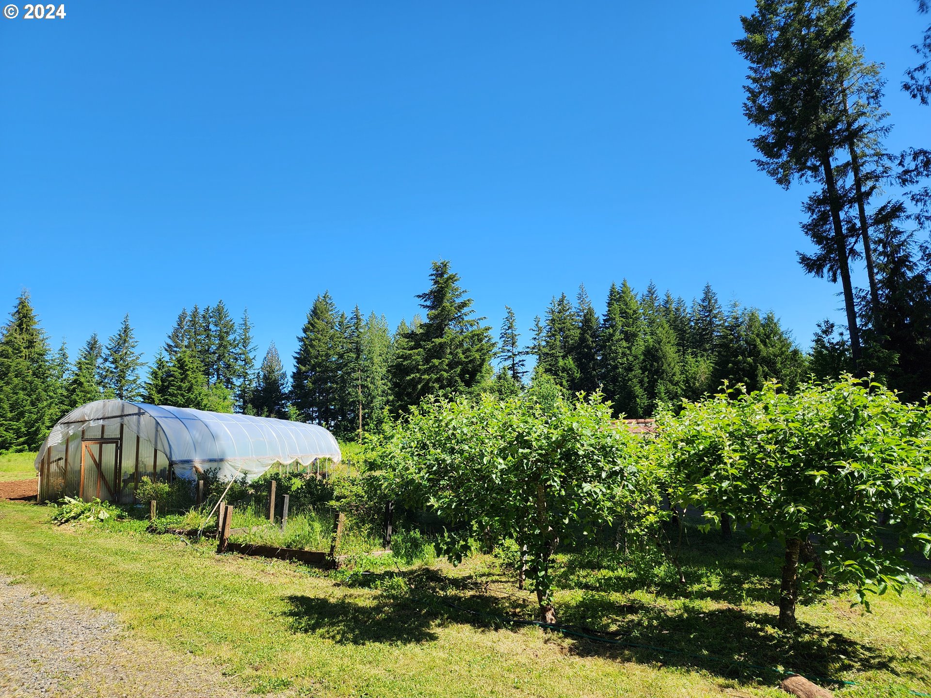 24361 South Upper Highland Road Colton, OR 97017 - Photo 23 of 47 a view of a garden with a house in the background
