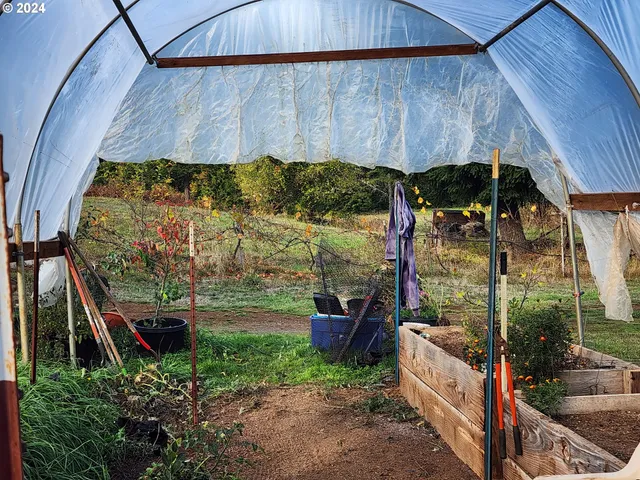 a backyard of a house with outdoor seating and plants
