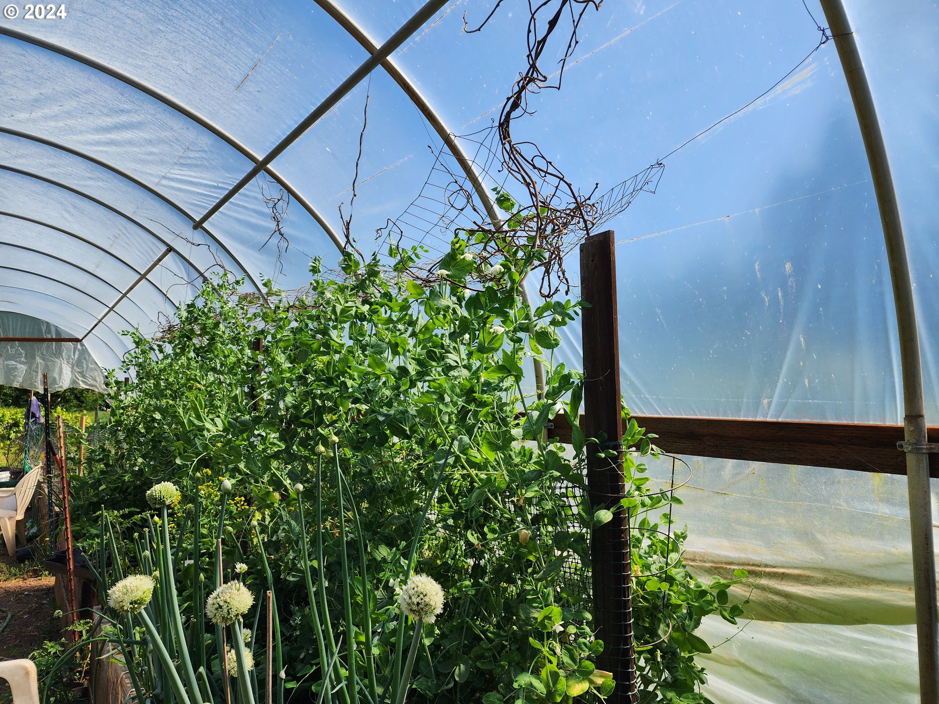24361 South Upper Highland Road Colton, OR 97017 - Photo 27 of 47 a backyard of a house