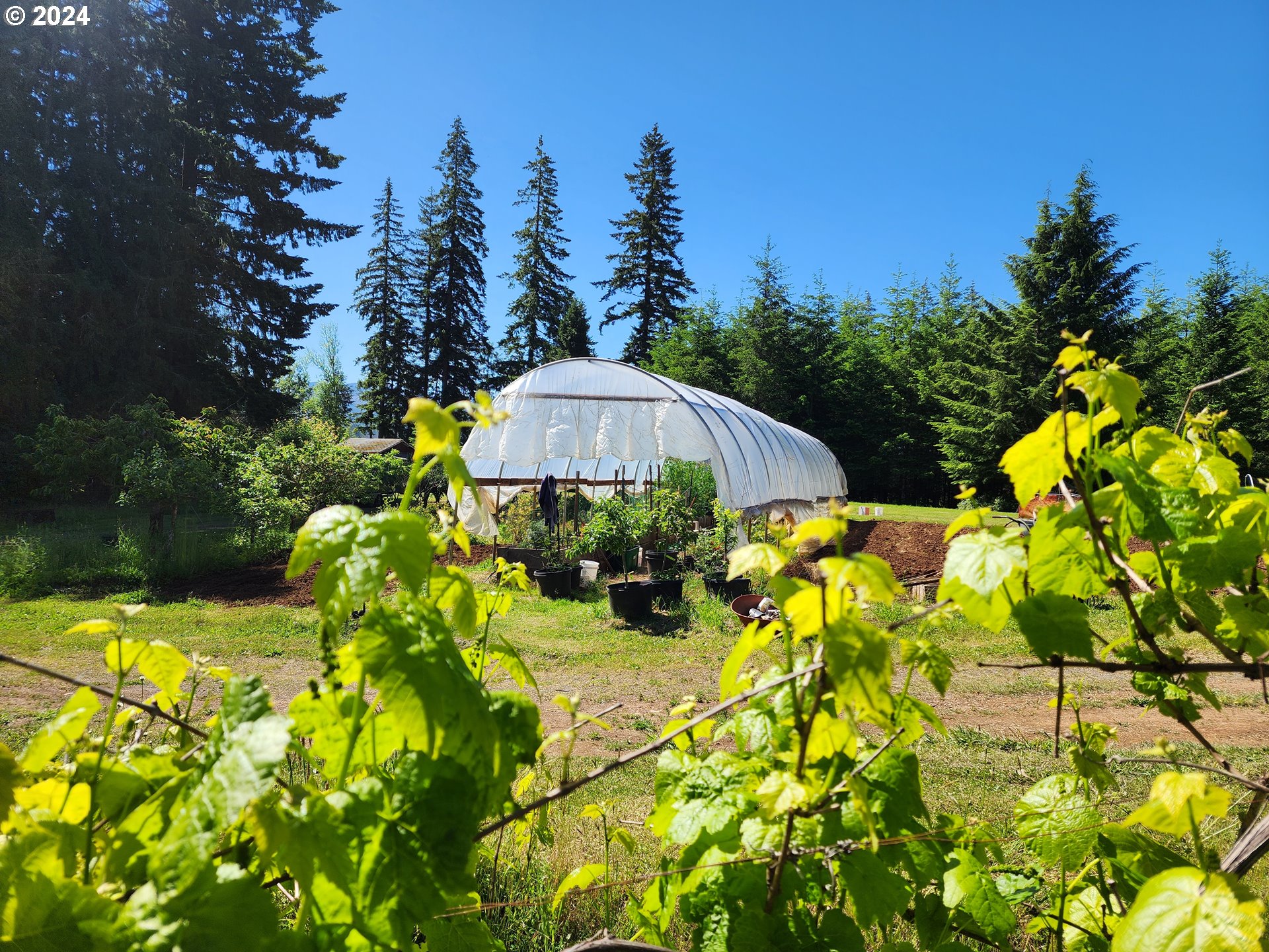 24361 South Upper Highland Road Colton, OR 97017 - Photo 29 of 47 a view of a swimming pool with a garden