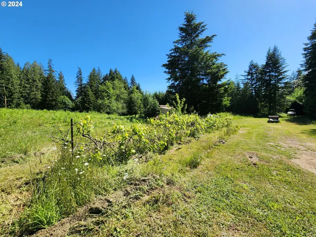 a view of swimming pool with a yard