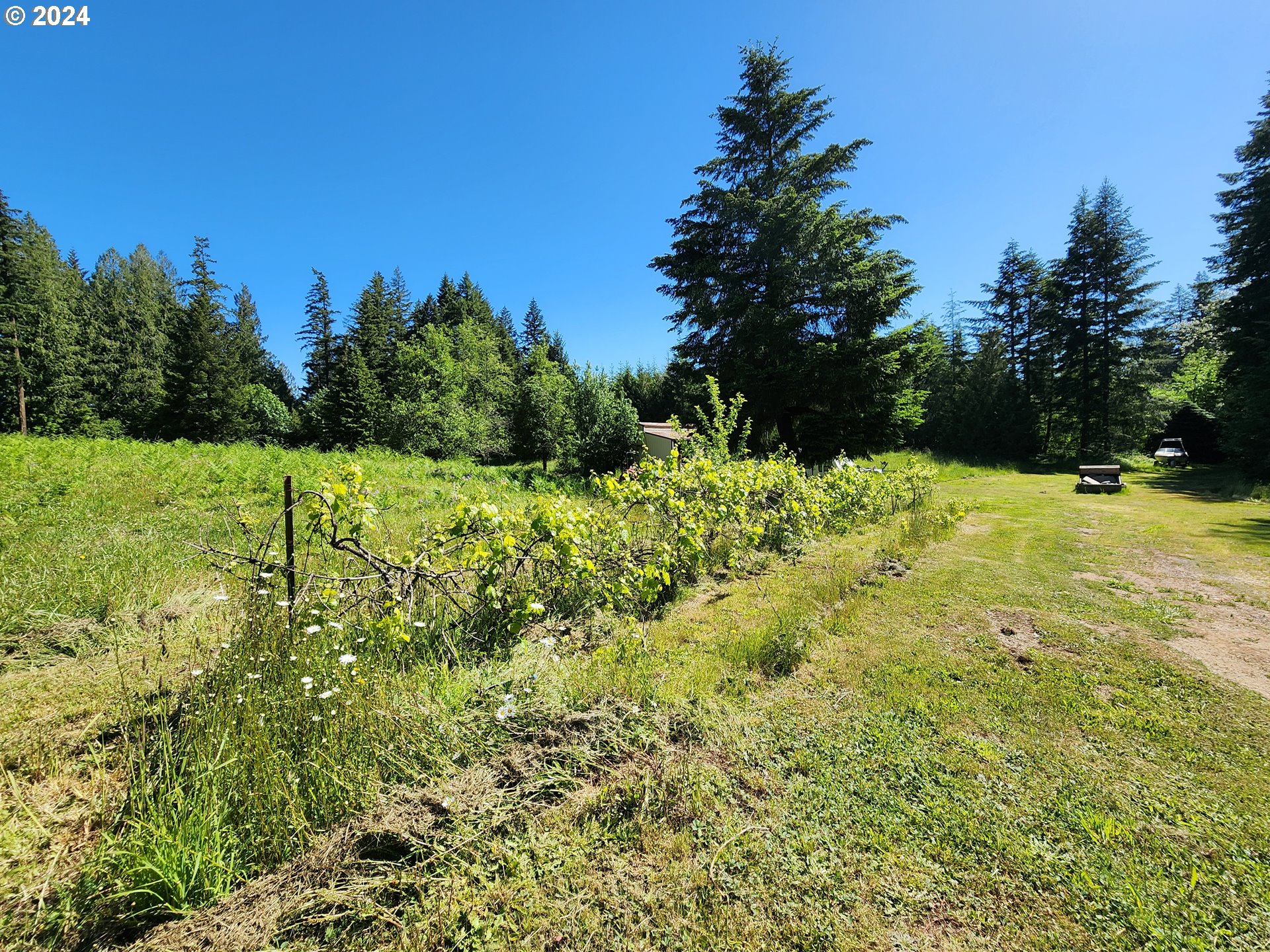 24361 South Upper Highland Road Colton, OR 97017 - Photo 36 of 47 a view of a large yard with lots of green space