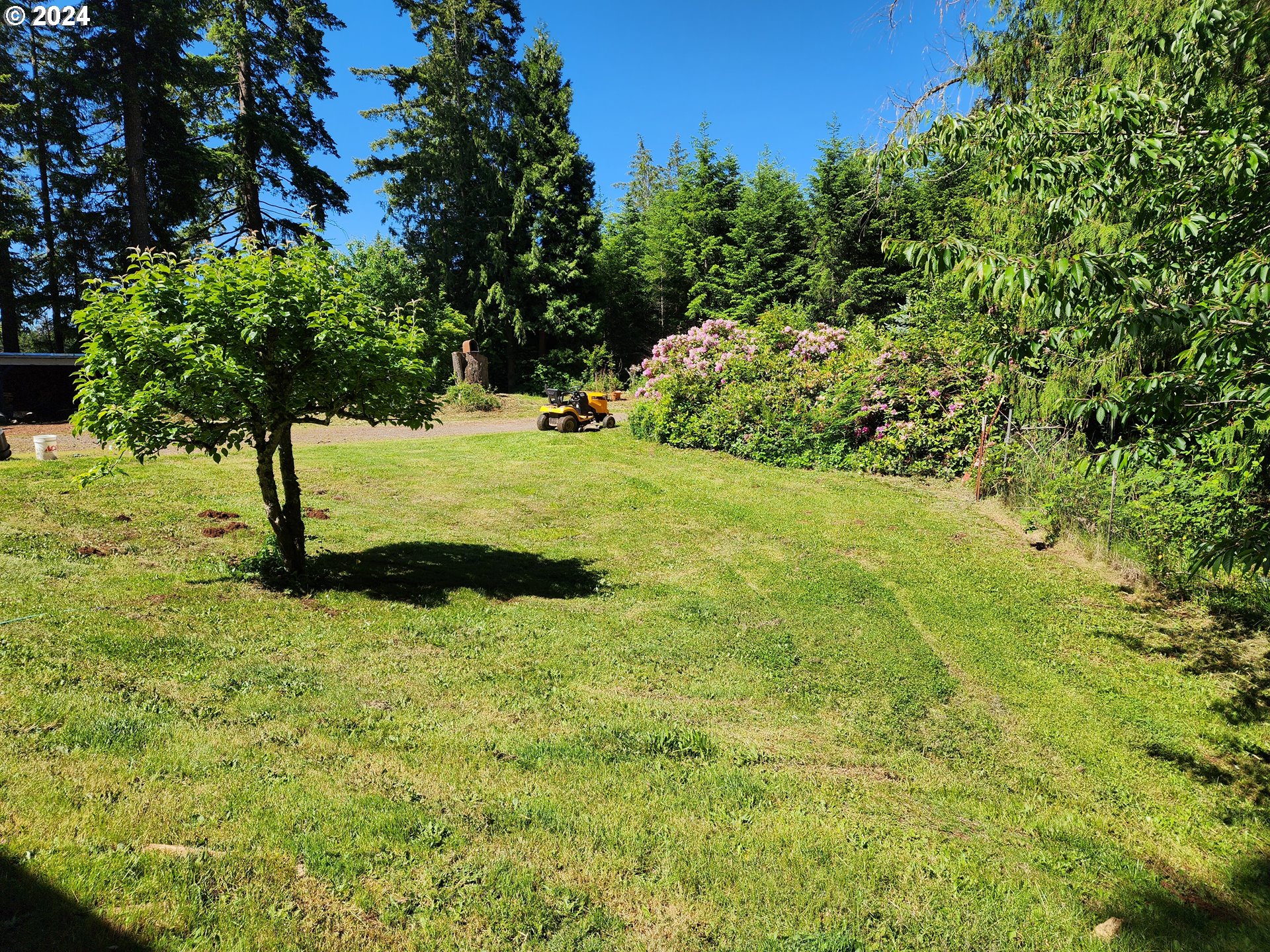 24361 South Upper Highland Road Colton, OR 97017 - Photo 40 of 47 a view of yard with large trees