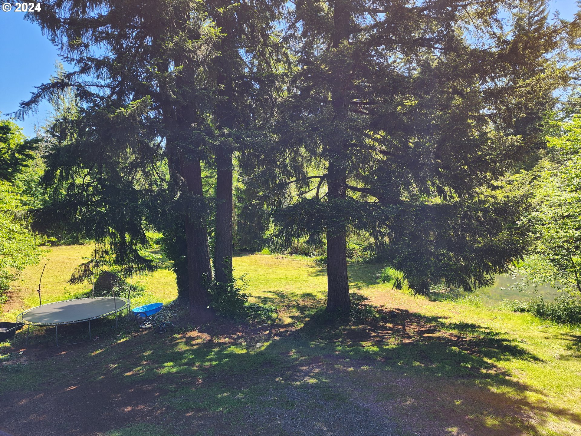 24361 South Upper Highland Road Colton, OR 97017 - Photo 41 of 47 a view of a yard with a tree