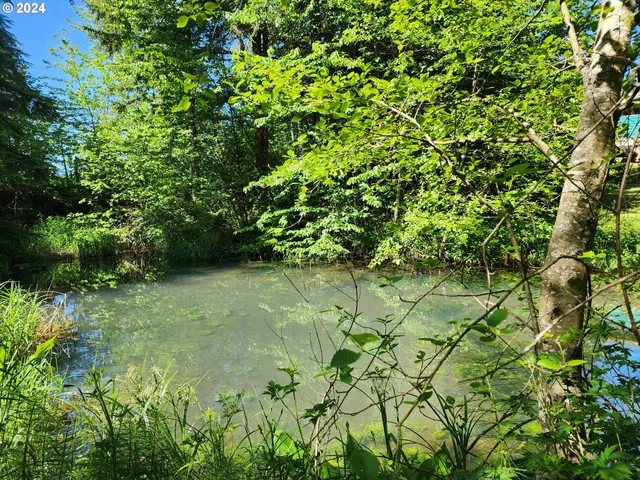 a view of a flower in a garden