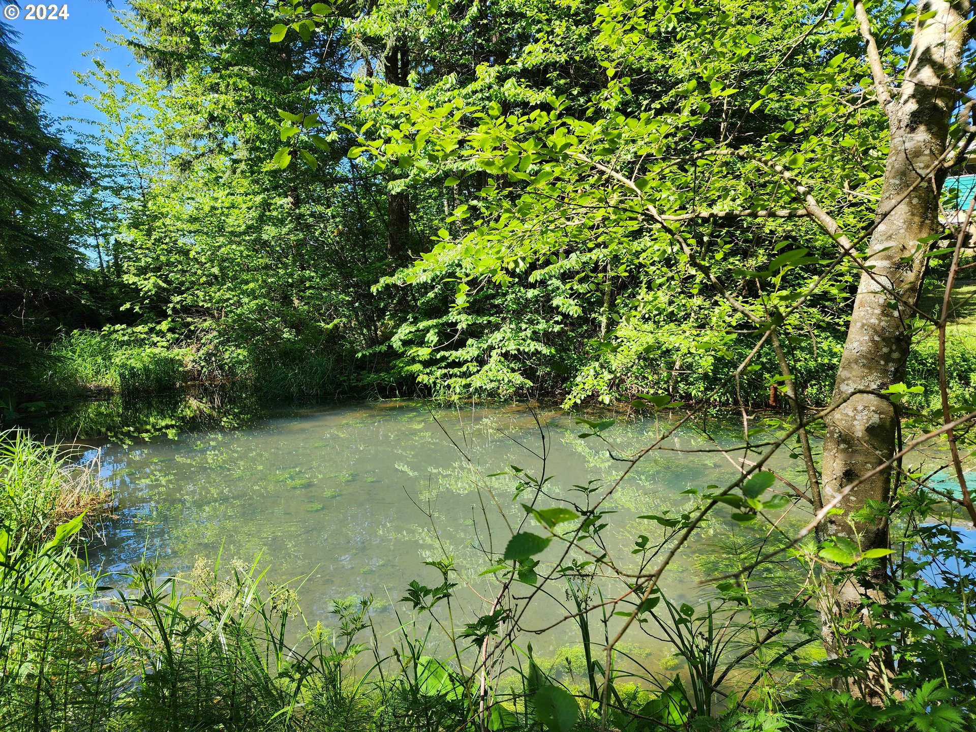 24361 South Upper Highland Road Colton, OR 97017 - Photo 45 of 47 a backyard of a house with lots of green space