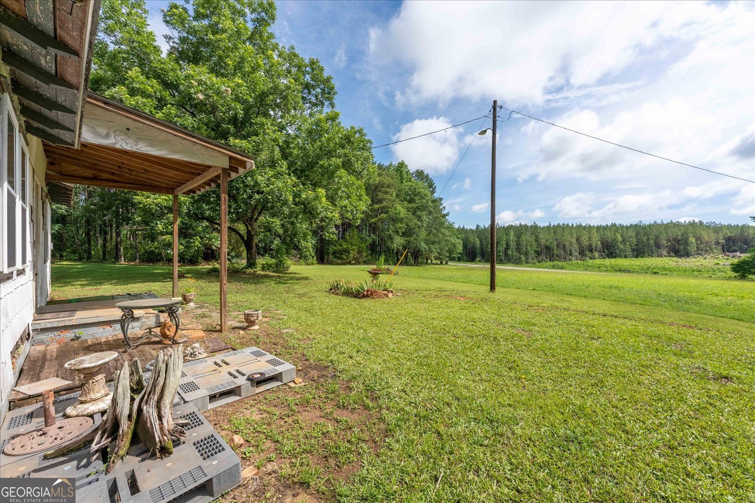 3328 Lundberg Road Washington, GA 30673 - Photo 3 of 19