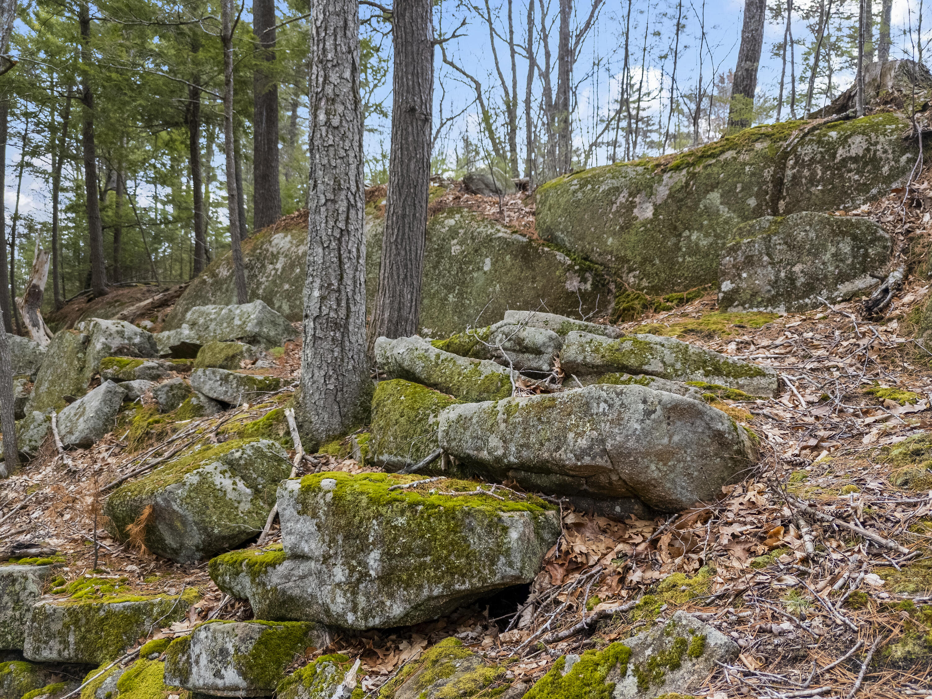 7 Johnnys Way York, ME 03902 - Photo 60 of 78 7 Johnny's Way, Cape Neddick