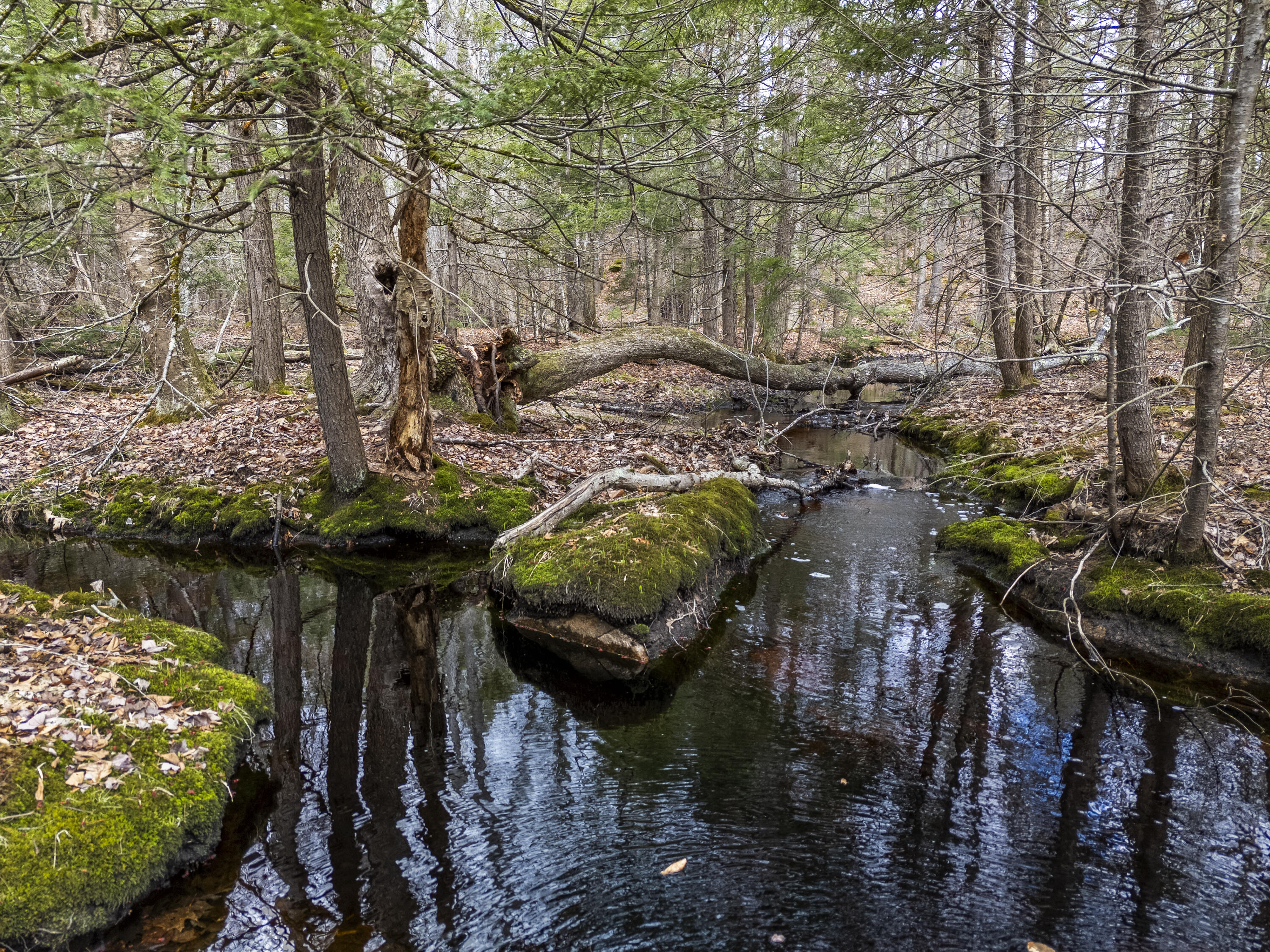 7 Johnnys Way York, ME 03902 - Photo 63 of 78 7 Johnny's Way, Cape Neddick