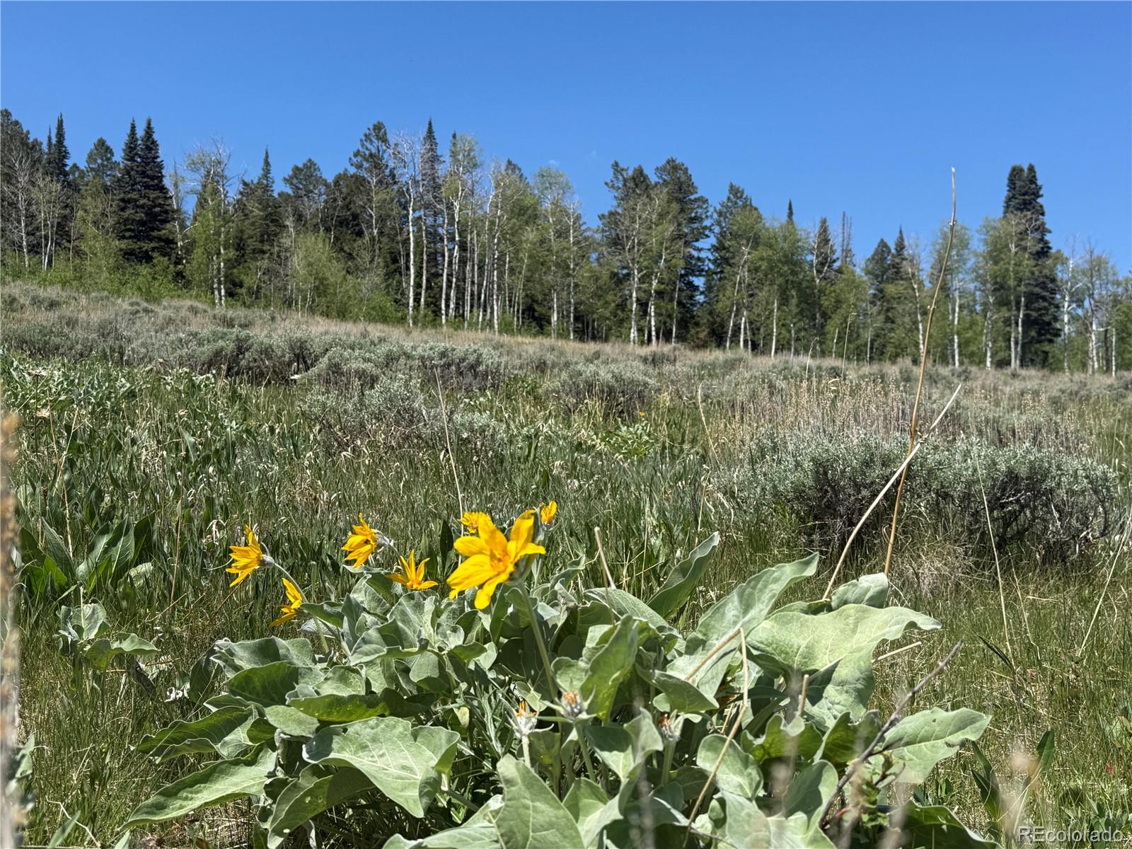 Spring Creek Ranch Road Silverthorne, CO 80498 - Photo 31 of 38