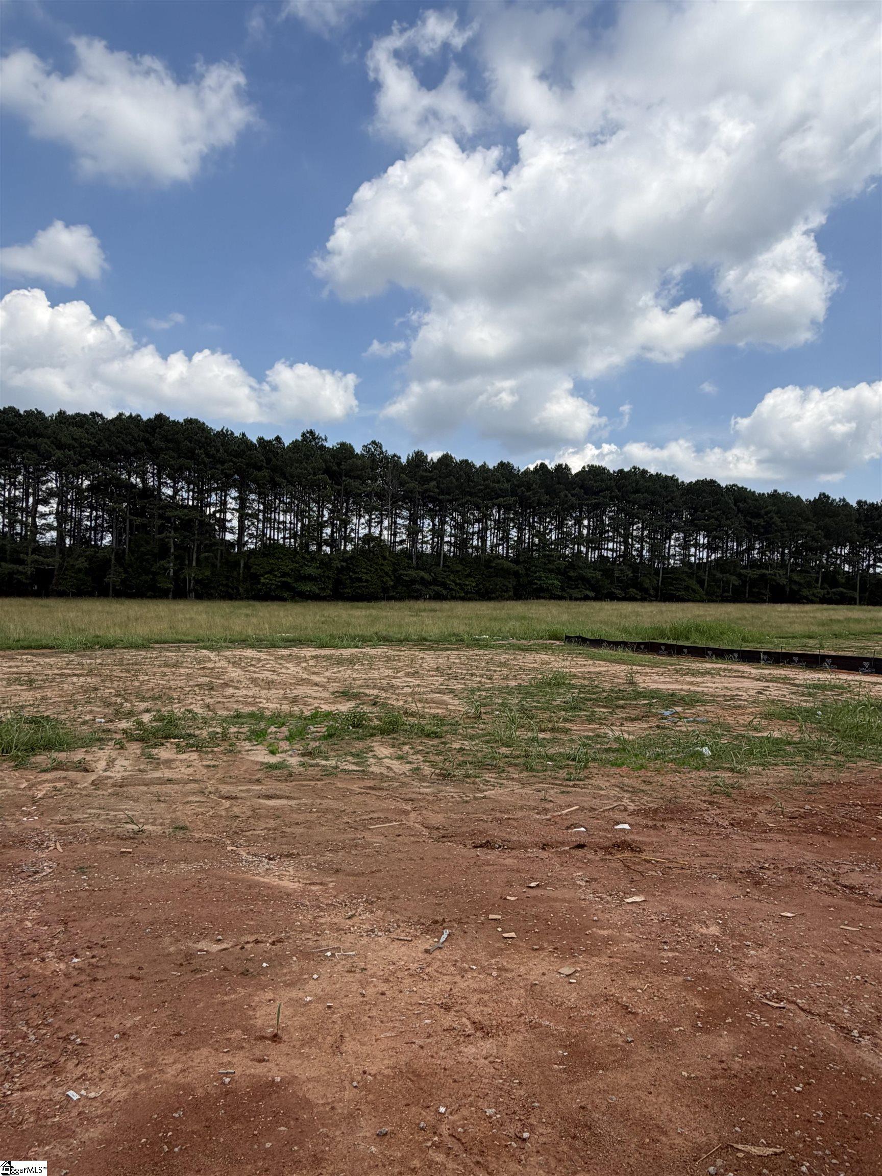 318 Richey Road Pelzer, SC 29669 - Photo 19 of 32