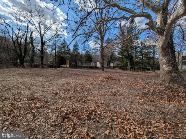 a view of a yard with trees