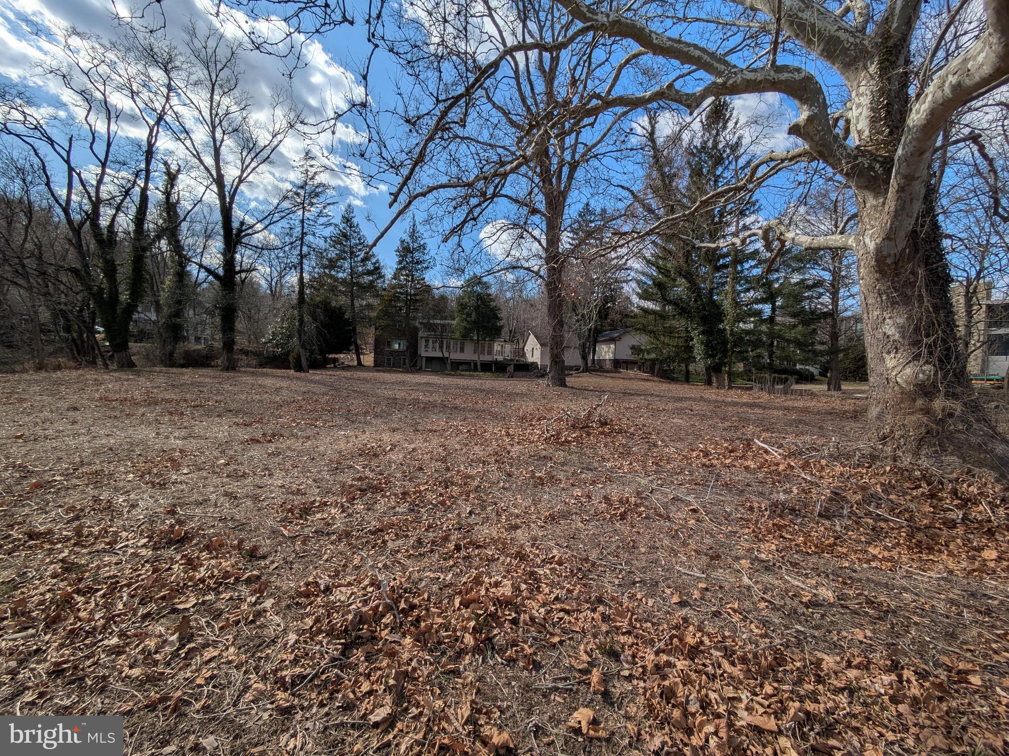 218 Towpath Street New Hope, PA 18938 - Photo 8 of 9 a view of a yard with trees