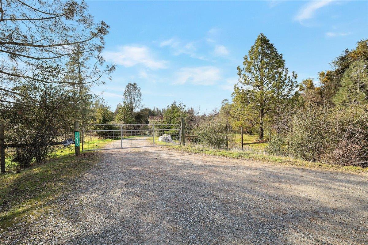 13980 Mountain House Road Penn Valley, CA 95946 - Photo 3 of 49