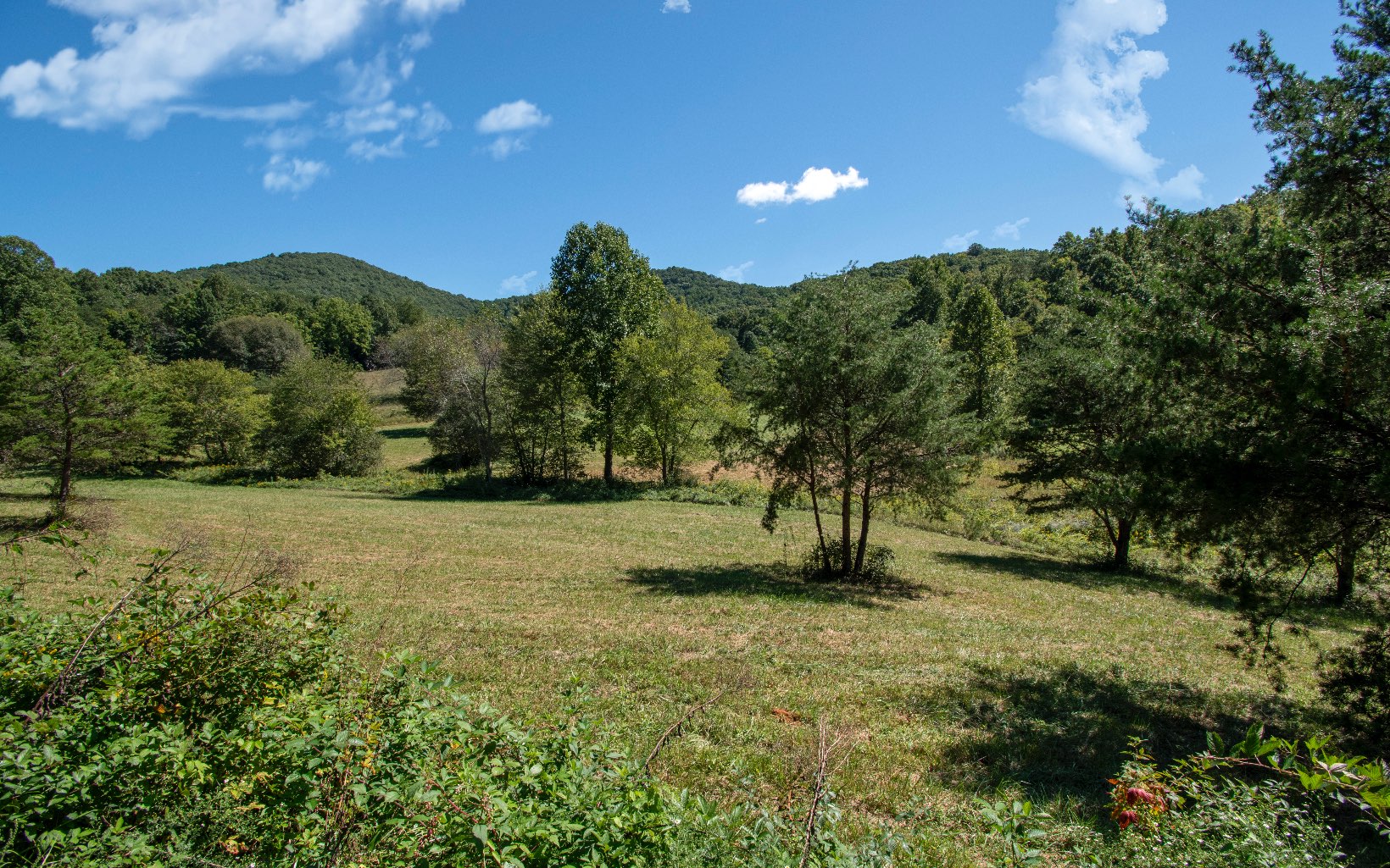 1041 Prince Road Murphy, NC 28906 - Photo 4 of 4 Additional View