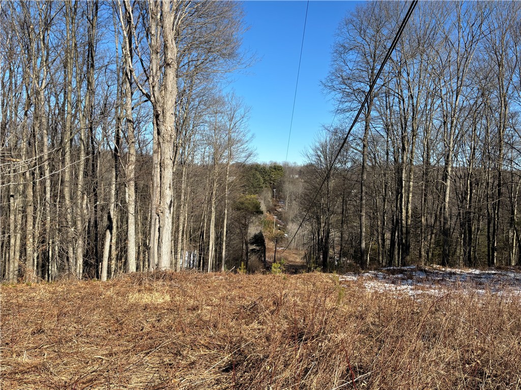 793 West Joseph Road St. Marys, PA 15857 - Photo 25 of 40