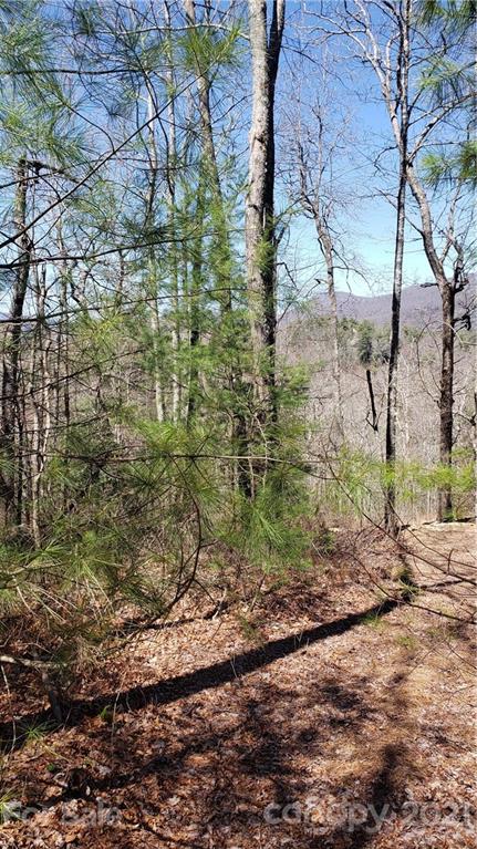 5 Running Fox Road, Unit 5 Sapphire, NC 28774 - Photo 1 of 3 Gallery Image 1