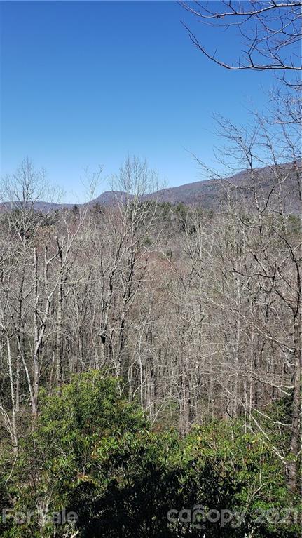 5 Running Fox Road, Unit 5 Sapphire, NC 28774 - Photo 3 of 3 Gallery Image 3