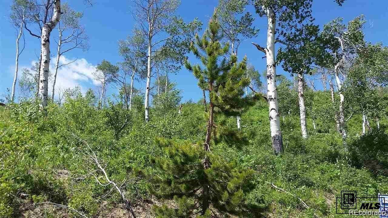 57615 Longfellow Way Clark, CO 80428 - Photo 12 of 20 a view of a garden