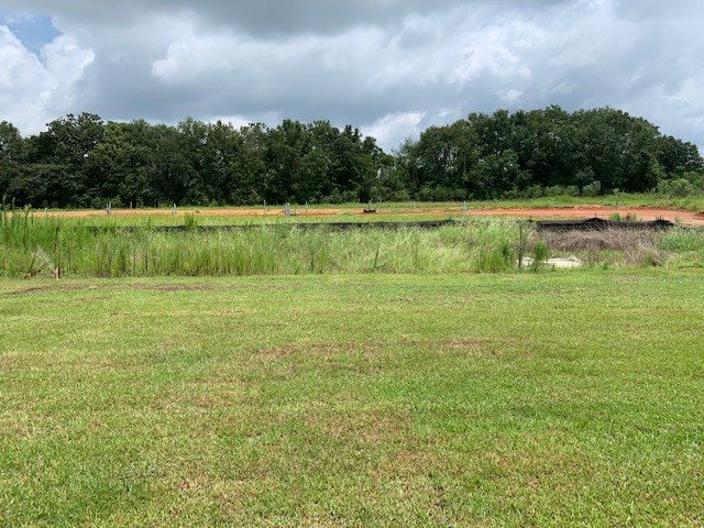 9304 Sitka Drive, Unit 90 Foley, AL 36535 - Photo 17 of 21 View from back porch