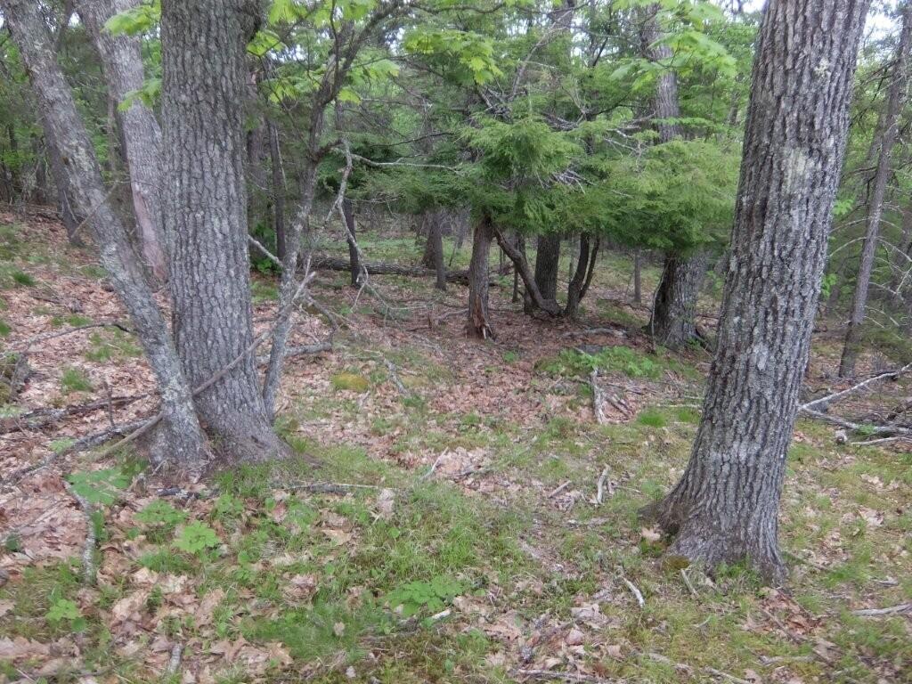 0 Hatchet Mountain Road Hope, ME 04847 - Photo 28 of 31 DSCF4102