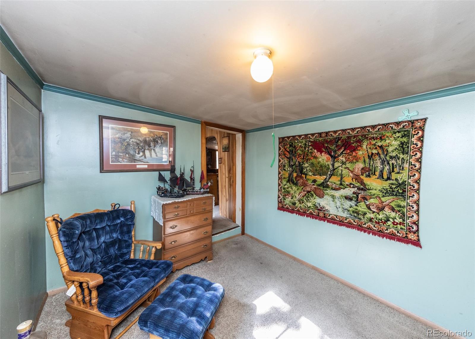 7600 Doe Valley Road Guffey, CO 80820 - Photo 16 of 36