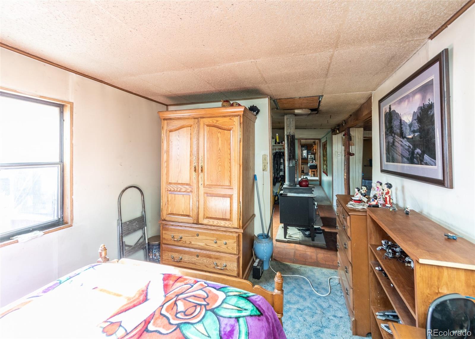 7600 Doe Valley Road Guffey, CO 80820 - Photo 20 of 36