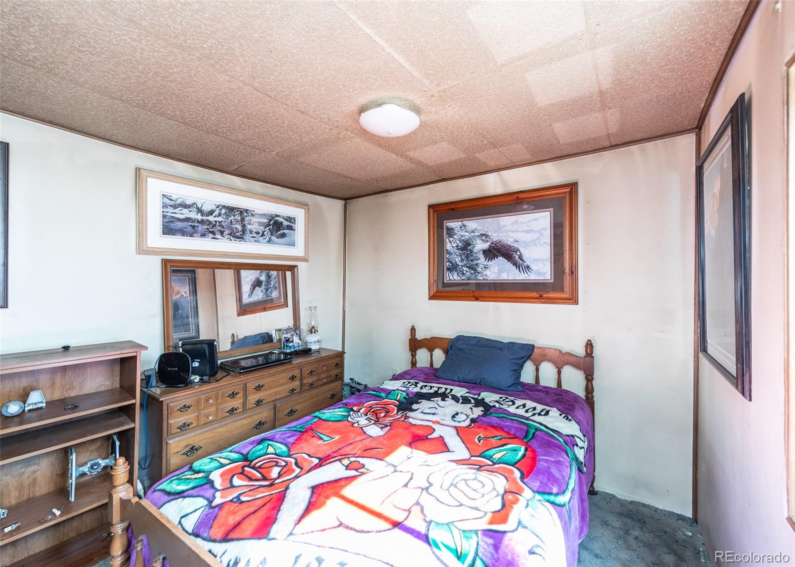 7600 Doe Valley Road Guffey, CO 80820 - Photo 21 of 36